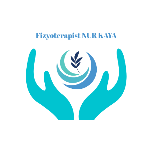 Nur Kaya Logo