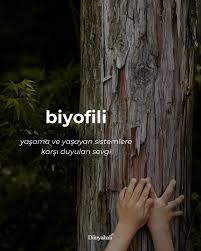 Biophilia Etkisi: Doğanın Stres, Ağrı ve Ruh Sağlığı Üzerindeki Etkileri